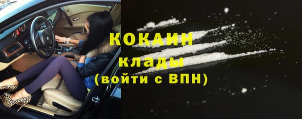 стаф Алзамай