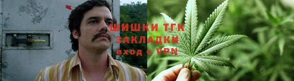 ПСИЛОЦИБИНОВЫЕ ГРИБЫ Алексин
