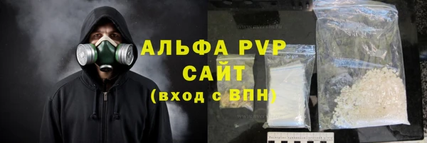 стаф Алзамай