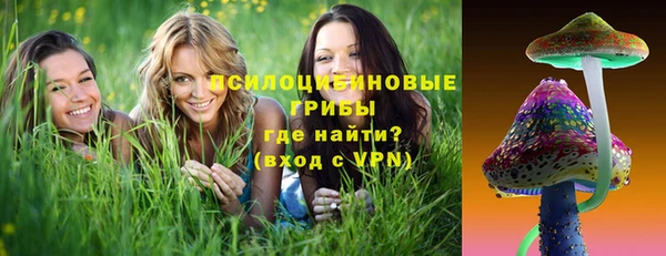 ПСИЛОЦИБИНОВЫЕ ГРИБЫ Алексин