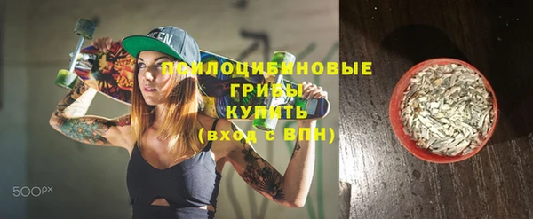 ПСИЛОЦИБИНОВЫЕ ГРИБЫ Алексин