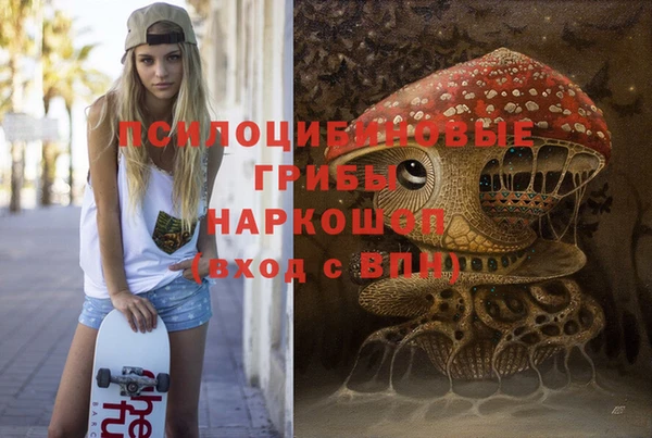 стаф Алзамай