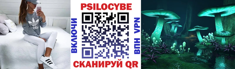 MEGA ссылка  Хвалынск  Псилоцибиновые грибы Magic Shrooms  купить закладку 